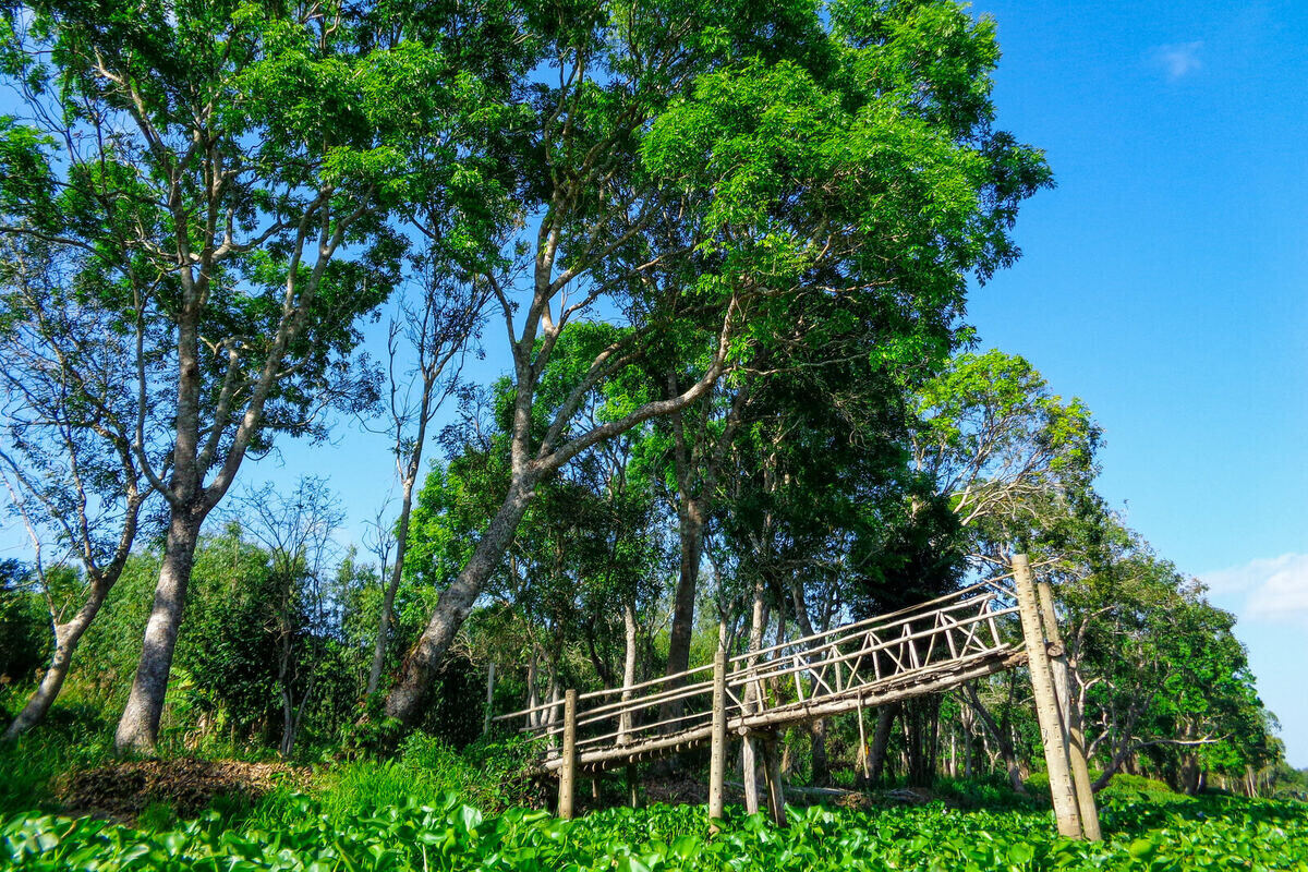 Lung Ngọc Hoàng