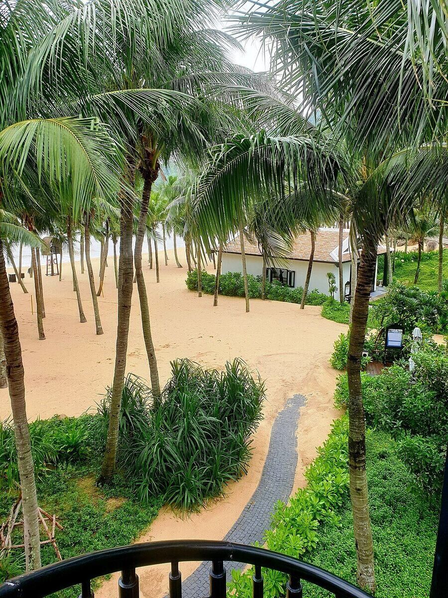 Bán đảo Sơn Trà