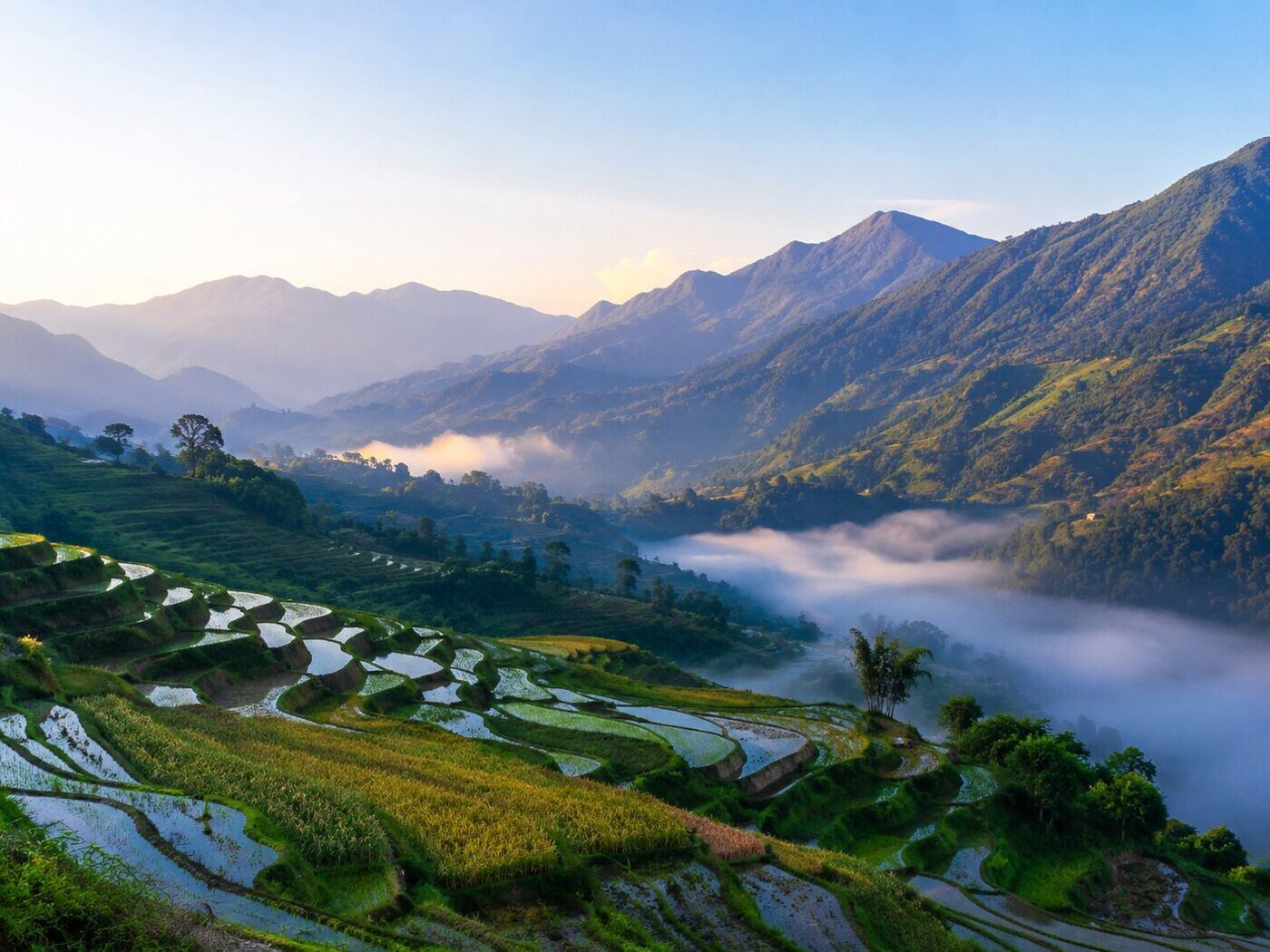 Ruộng bậc thang Phìn Hồ