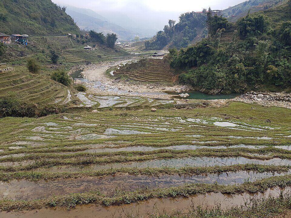 Ruộng bậc thang Mường Hoa