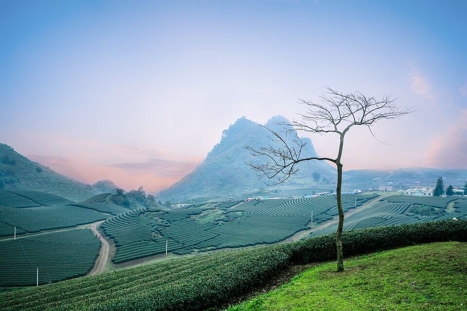 Sơn La
