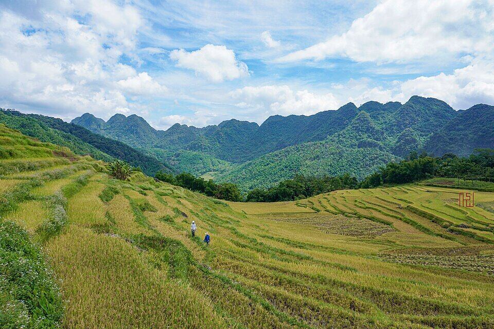 Pù Luông