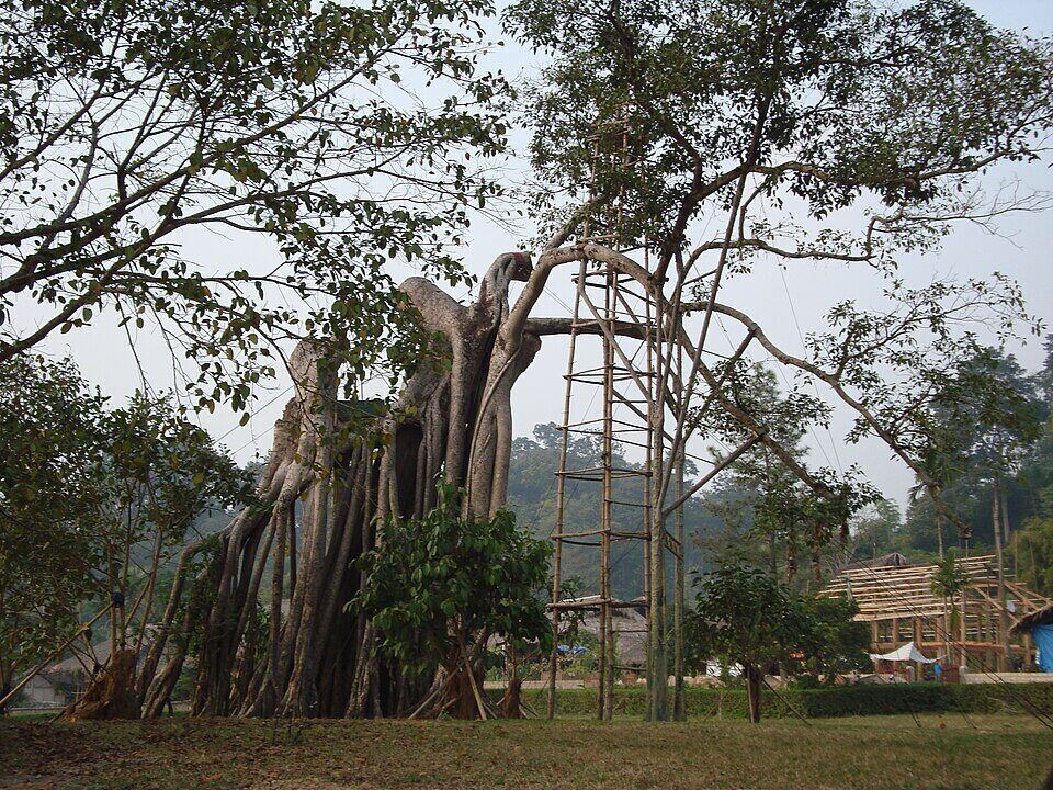 Khu di tích Tân Trào